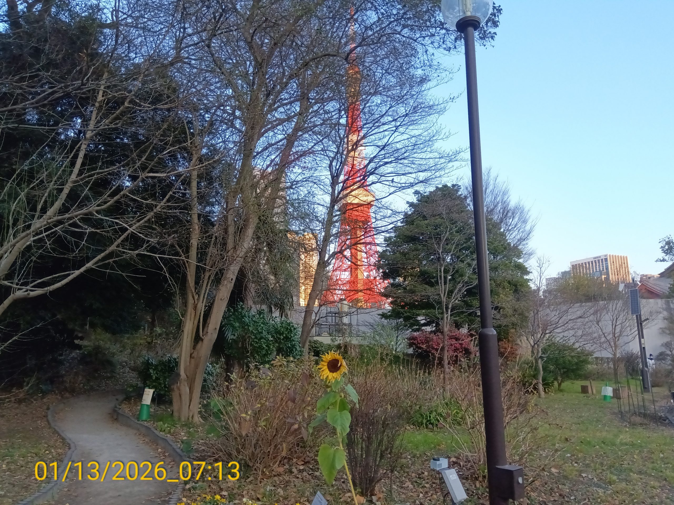 真冬の芝公園にて