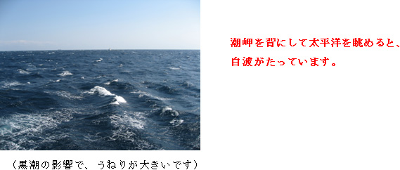 （黒潮の影響で、うねりが大きいです）　潮岬を背にして太平洋を眺めると、白波がたっています。