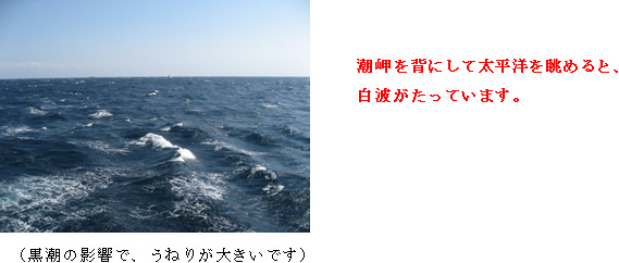 (黒潮の影響で、うねりが大きいです) 潮岬を背にして太平洋を眺めると、白波がたっています。