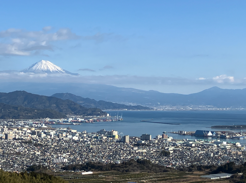 日本平から望む清水港