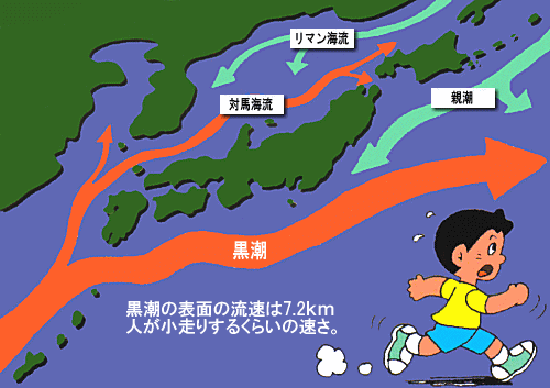 日本近海の海流