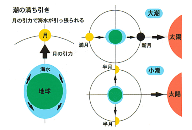 潮の満ち引き