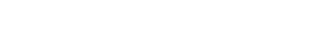 OUR BUSINESS